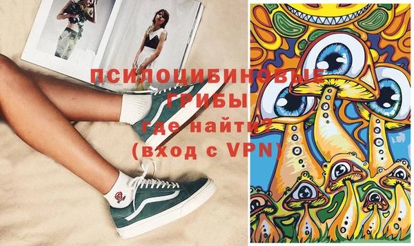 первитин Заводоуковск