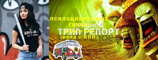 первитин Заводоуковск