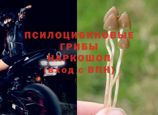 тгк Заволжье